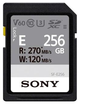 Карта пам'яті Sony 256GB SDXC C10 UHS-II U3 V60 R270/W120MB/s Entry (SFE256.ET4) фото №1