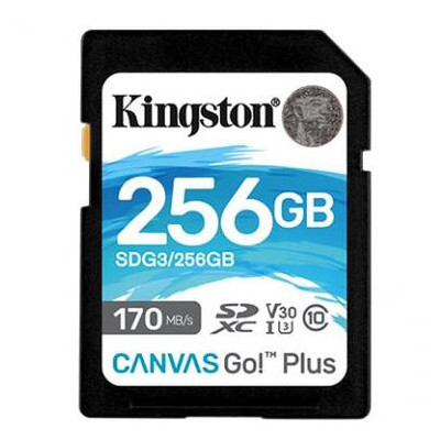 Карта пам'яті Kingston 256GB SDXC class 10 UHS-I U3 Canvas Go Plus (SDG3/256GB) фото №1