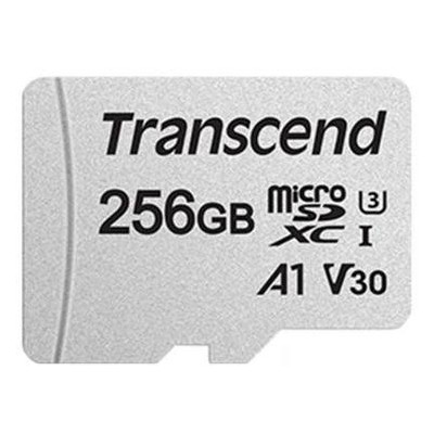 Карта пам'яті Transcend 256GB microSDXC class 10 UHS-I (TS256GUSD300S-A) фото №1