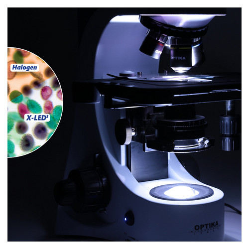 Микроскоп Optika B-383PLi 40x-1000x Trino Infinity (920743) фото №2