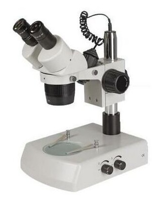 Бінокулярний мікроскоп ST-Series ST60-24B2 з підсвічуванням фото №1