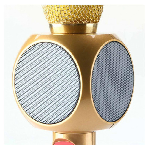 Микрофон для караоке Wster WS-1816 Золотой фото №2