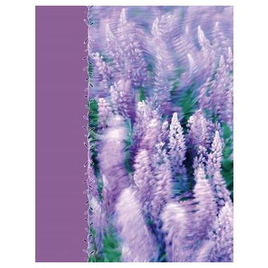 Альбом UFO 10x15x200 PP-46200 Lavenders фото №1