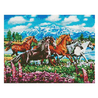 Алмазна мозаїка Rainbow Art Табун коней EJ1365 40х30 см  фото №1