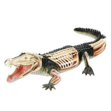 Пазл 4D Master Об'ємна анатомічна модель Крокодил (FM-622034) фото №2