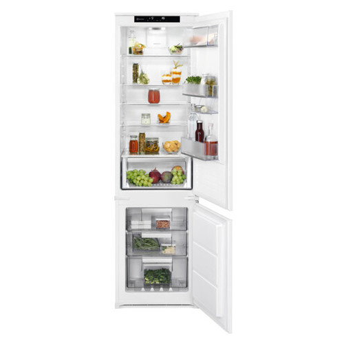 Холодильник Electrolux RNS6TE19S фото №1