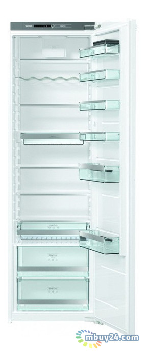 Холодильник Gorenje RI 2181 A1 (HI3128RFF) фото №1