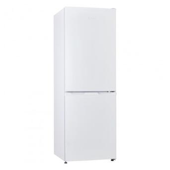 Холодильник  ELEYUS RLW2146M WH фото №3