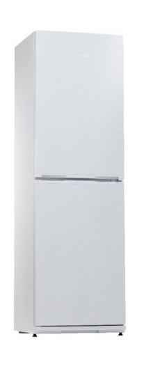 Холодильник Snaige RF35SM-S0002F фото №1