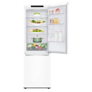 Холодильник LG GC-B459SQCL фото №7