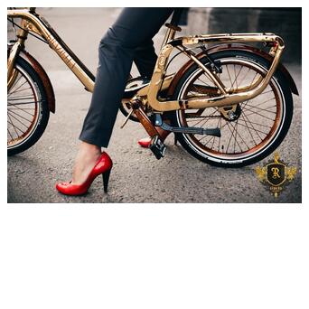 Велосипед Graziella Gold Edition 3S 20 фото №12