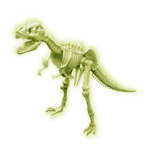 Набір для досліджень 4M Світиться скелет тиранозавра (00-03420) фото №2