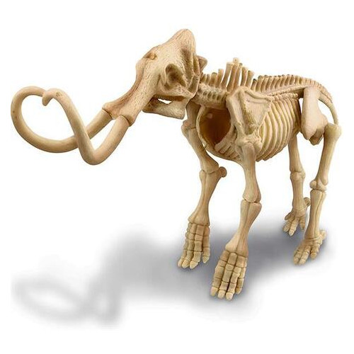 Набір для розкопок 4M Скелет мамонта (00-03236) фото №3