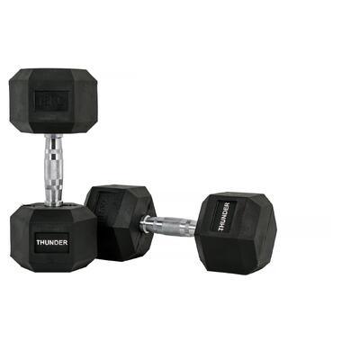 Гантель шестигранна 15 кг THUNDER (HEXAGONAL-DUMBBELLS-15KG) фото №1