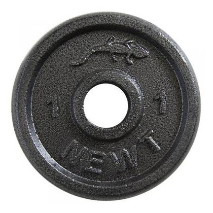 Диск сталевий Newt Home 1 кг, діаметр - 30 мм фото №1