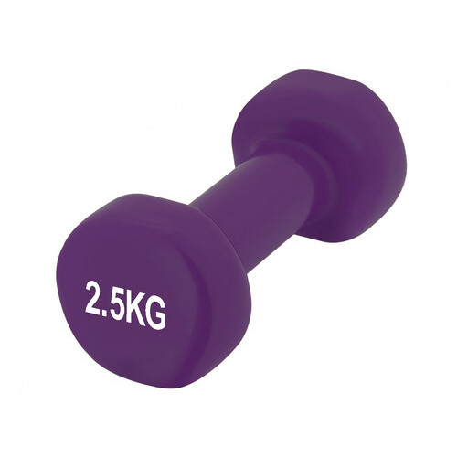 Гантель PowerPlay 4125 винилов 2.5 кг Фіолетова фото №1