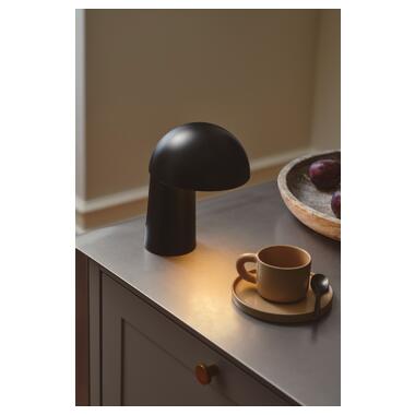 Настольная лампа DFTP 2420155003 FAYE фото №4