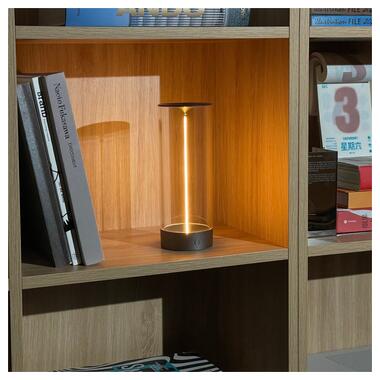 Настольная лампа Zuma Line 1002 ESTERNO фото №6