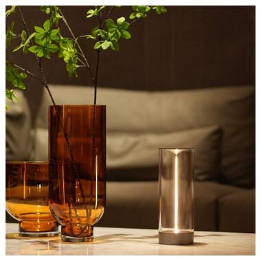 Настольная лампа Zuma Line 1002 ESTERNO фото №3