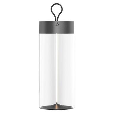 Настольная лампа Zuma Line 1003 ESTERNO фото №1