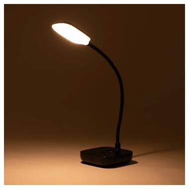 Настольная лампа Zuma Line 1961-BK LAMPA фото №3