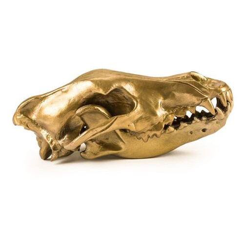 Фігура вовчий череп Diesel-wolf skull фото №2