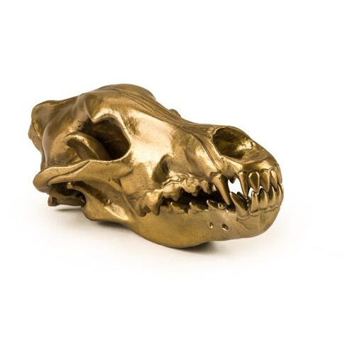 Фігура вовчий череп Diesel-wolf skull фото №1