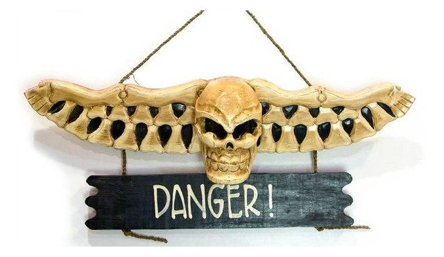 Череп Даршан с костями Danger ARS005A 54х12х35 см (24328) фото №1