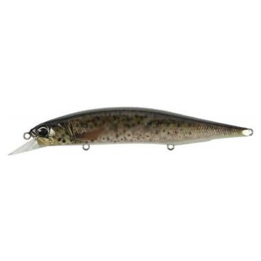 Воблер DUO Realis Jerkbait 120SP Pike 120mm 17.8g CCC3815 Brown Trout N (34.27.86) фото №1