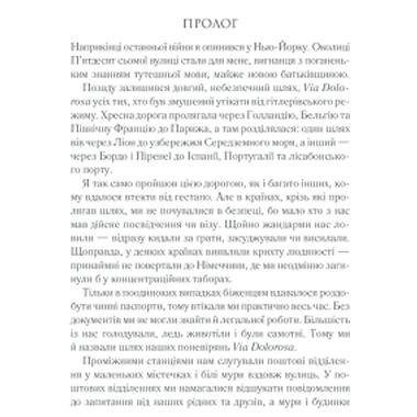 Книга Тени в раю - Эрих Мария Ремарк КСД (9786171520271) фото №3