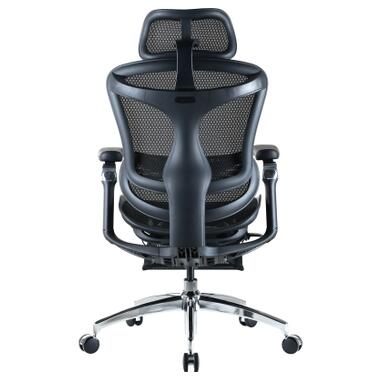 Офисное кресло Sihoo DORO C300 Pro Mesh Black with (DORO-C300-PRO-M101-JT) фото №2