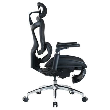 Офисное кресло Sihoo DORO C300 Pro Mesh Black with (DORO-C300-PRO-M101-JT) фото №5