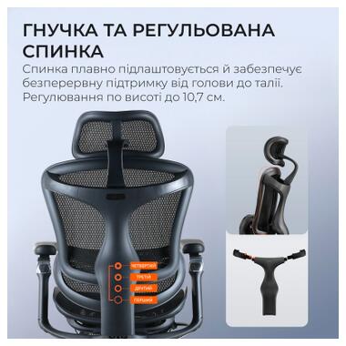 Офисное кресло Sihoo DORO C300 Pro Mesh Black with (DORO-C300-PRO-M101-JT) фото №10