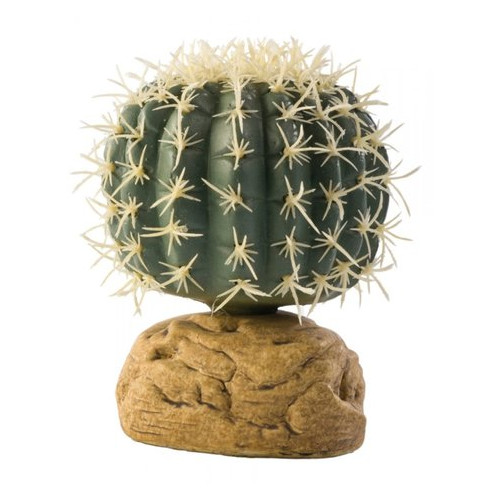 Растение Hagen Barrel Cactus Small фото №1