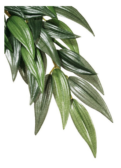 Шелковое растение Hagen Rucus больш. фото №1