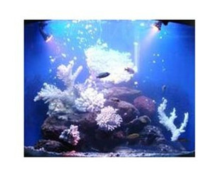 Декорация для аквариума KW Zone Коралл с LED подсветкой 14х13,5х15,5см (U-741) фото №3