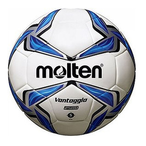 Футбольний м'яч Molten F5V2500 р.5 фото №1