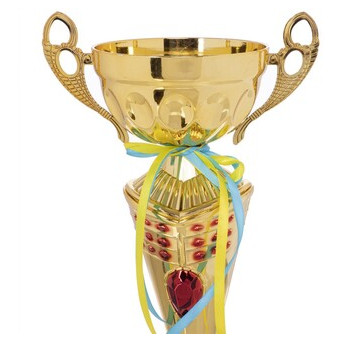 Кубок спортивний з ручками FDSO Flame Y153A Золотий (33508308) фото №3