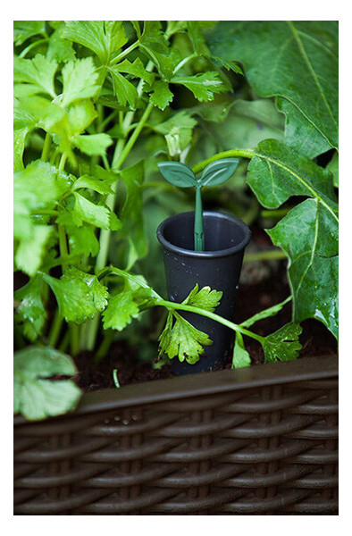 Грядка для растений Keter Easy Grow Серая 7290103660833 фото №5