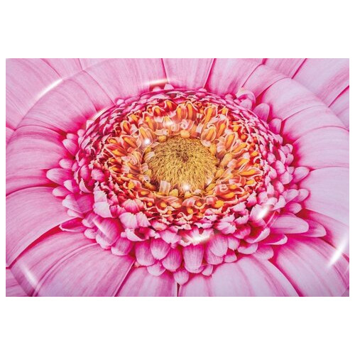 Плотик-матрац надувний Intex Рожевий квітка 142 см (58787) фото №8