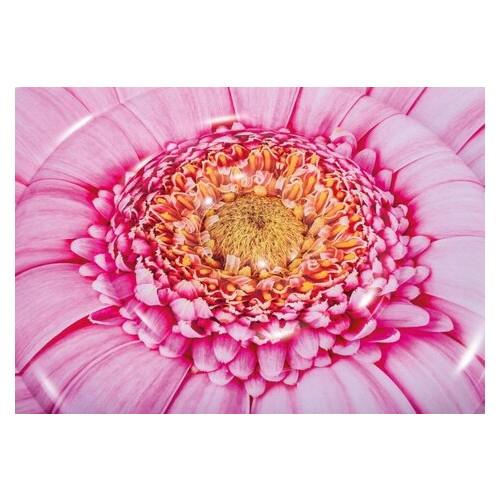 Плотик-матрац надувний Intex Рожевий квітка 142 см (58787) фото №7
