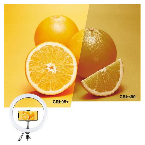 Кільцева USB RGBW LED-лампа Puluz PKT3043 10 штатив 1.1 м (PKT3043) фото №7