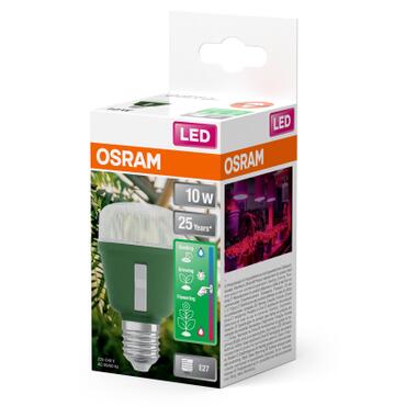 Лампочка Osram LED T60 GROW 10W CL 230V FR E27 (4058075845787) фото №7