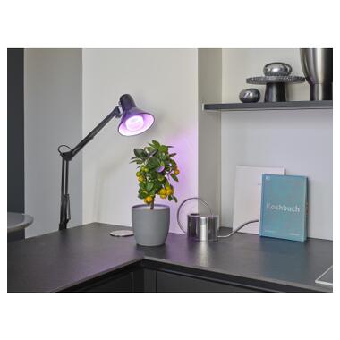 Лампочка Osram LED T80 GROW 20W CL 230V FR E27 (4058075845800) фото №10