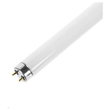 Лампочка Евросвет T8 Insect G13 10Вт фото №2