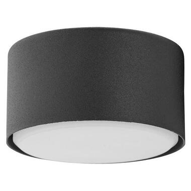 Точечный светильник TK LIGHTING 6241 DALLAS фото №1