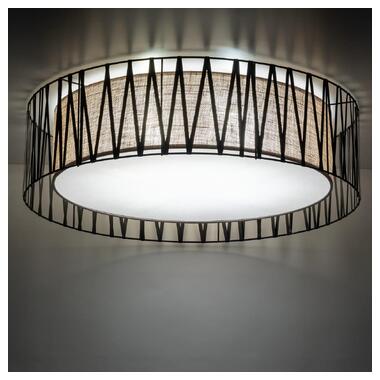 Потолочный светильник TK-Lighting Harmony 4556 фото №4