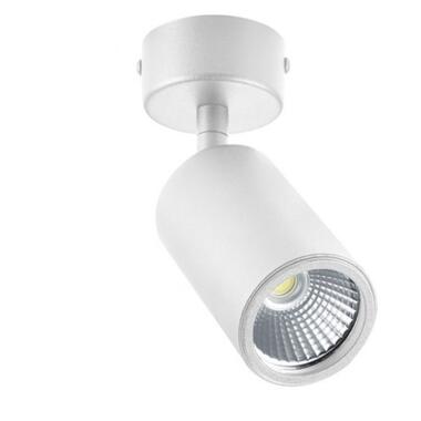 Спот ZUMALINE 20016-WH-N TORI фото №1