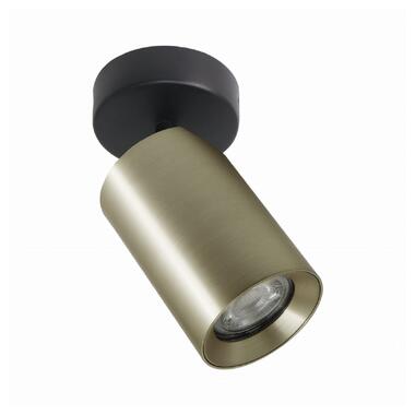 Спот ZUMALINE TLS006-GLD TORE фото №1