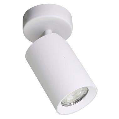 Спот ZUMALINE TLS006-WH TORE фото №1